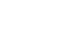 Toro Luna Logo